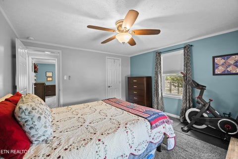 Tiny photo for 1301 Tazewell Pike, Plainview, TN 37721 (MLS # 1356177)