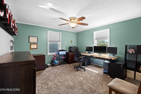 Tiny photo for 1301 Tazewell Pike, Plainview, TN 37721 (MLS # 1356177)