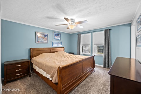 Tiny photo for 1301 Tazewell Pike, Plainview, TN 37721 (MLS # 1356177)