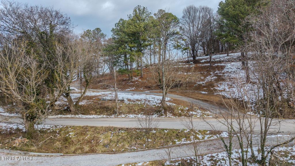 Photo of 1046 Devotie Rd, Jefferson City, TN 37760 (MLS # 1328857)
