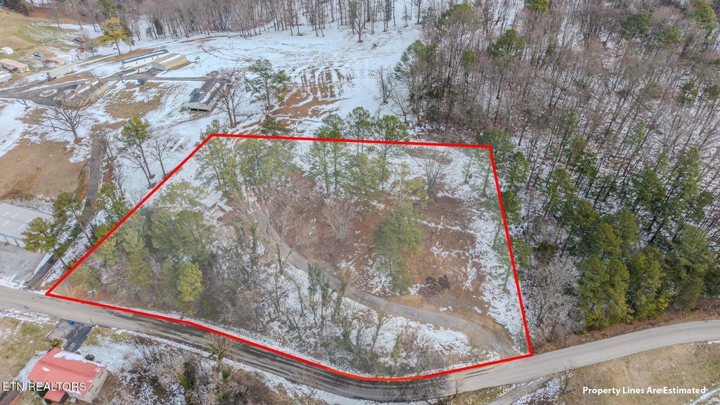 Photo of 1046 Devotie Rd, Jefferson City, TN 37760 (MLS # 1328857)