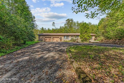 1688 E Wolf Valley Rd Heiskell TN 37754