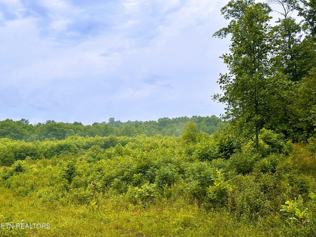 Photo of 1344 Chestnut Ridge Rd, Allardt, TN 38504 (MLS # 1345787)