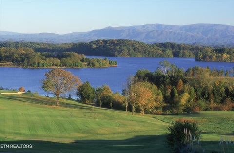 Tiny photo for 129 Heron Court, Vonore, TN 37885 (MLS # 1338781)