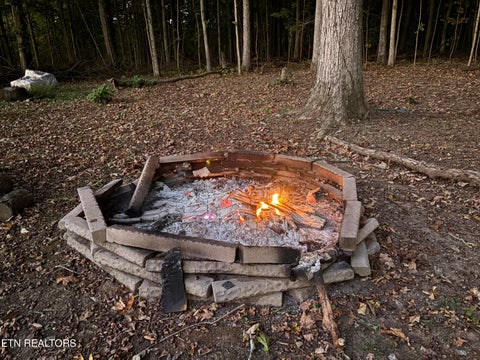 Tiny photo for 6104 Roberts Rd, Corryton, TN 37721 (MLS # 1359299)
