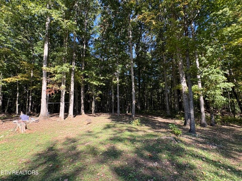 Tiny photo for 6104 Roberts Rd, Corryton, TN 37721 (MLS # 1359299)