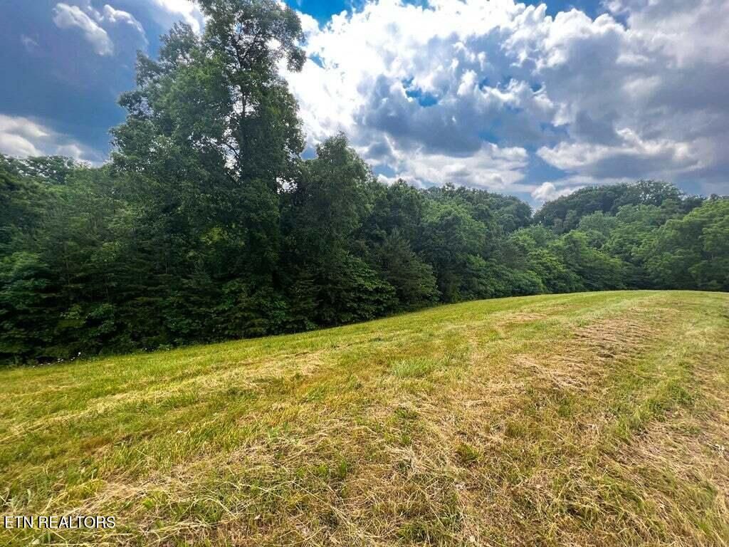 Photo of 2004 Turners Landing Rd, Russellville, TN 37860 (MLS # 1306911)