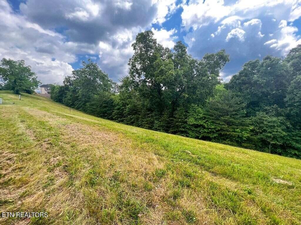 Photo of 2004 Turners Landing Rd, Russellville, TN 37860 (MLS # 1306911)