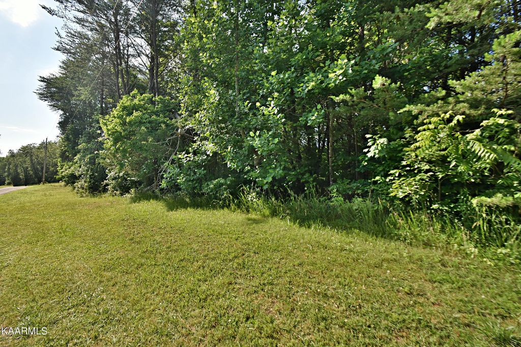 Photo of 0 Peaceful Way, Strawberry Plains, TN 37871 (MLS # 1228716)