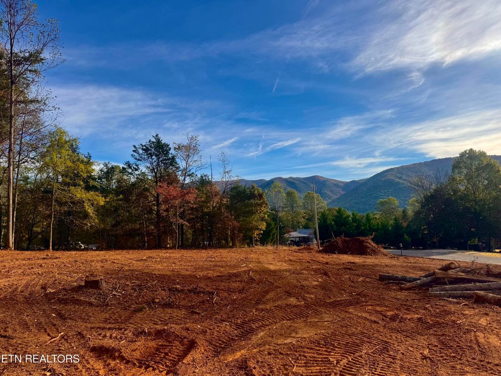 Photo of 4 Peachie Way, Cosby, TN 37722 (MLS # 1319825)