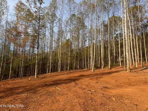 Tiny photo for 4 Peachie Way, Cosby, TN 37722 (MLS # 1319825)