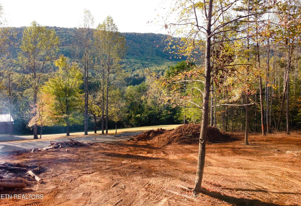 Photo of 4 Peachie Way, Cosby, TN 37722 (MLS # 1319825)