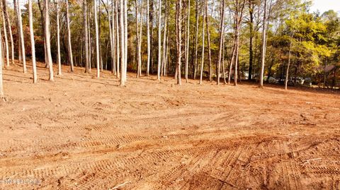 Tiny photo for 4 Peachie Way, Cosby, TN 37722 (MLS # 1319825)