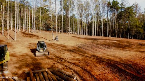 Tiny photo for 4 Peachie Way, Cosby, TN 37722 (MLS # 1319825)