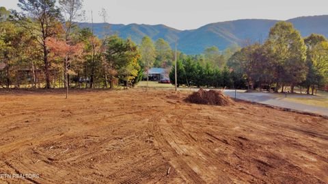 Tiny photo for 4 Peachie Way, Cosby, TN 37722 (MLS # 1319825)