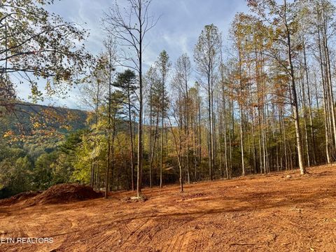 Tiny photo for 4 Peachie Way, Cosby, TN 37722 (MLS # 1319825)