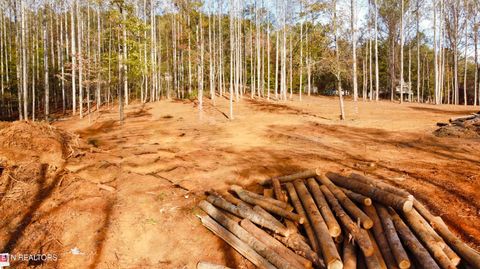 Tiny photo for 4 Peachie Way, Cosby, TN 37722 (MLS # 1319825)