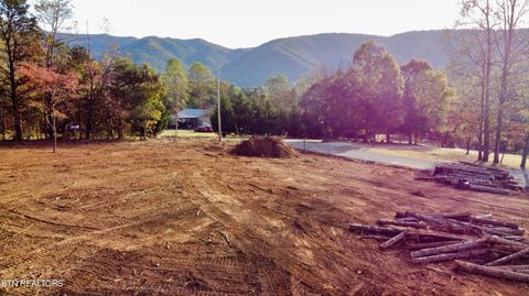 Tiny photo for 4 Peachie Way, Cosby, TN 37722 (MLS # 1319825)