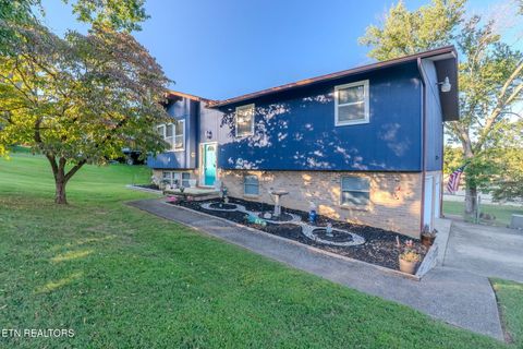 Photo of 8000 Little Joe Rd, Powell, TN 37849 (MLS # 1335224)