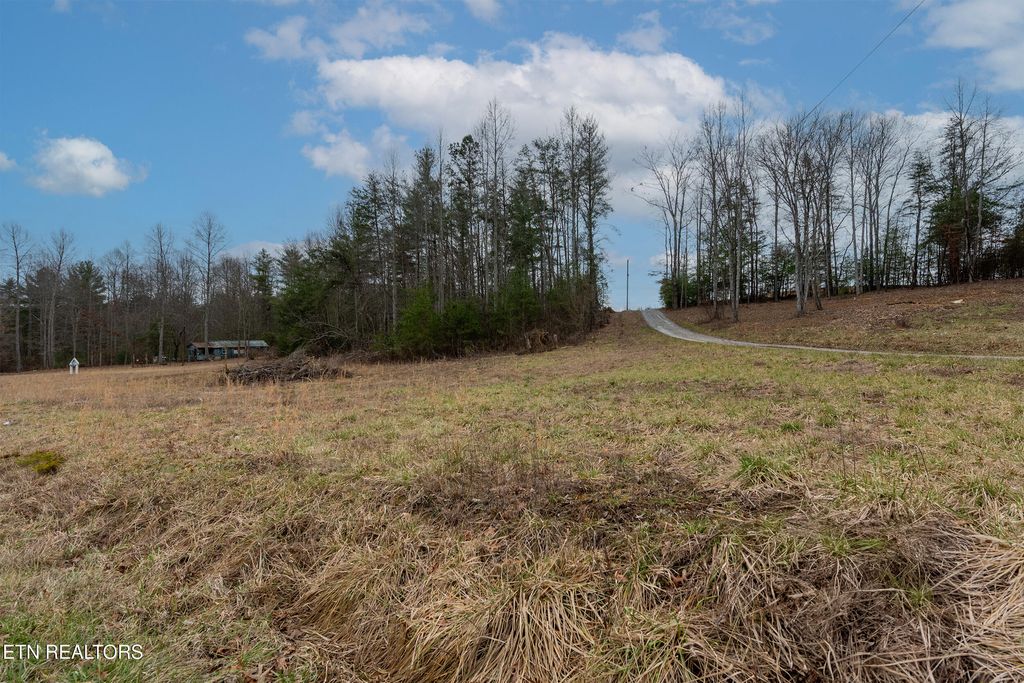 Photo of 1567 Twin Bridge Rd, Deer Lodge, TN 37726 (MLS # 1291001)