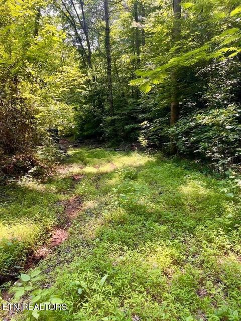 Tiny photo for 3646 Woodcove Circle, Maryville, TN 37801 (MLS # 1318955)