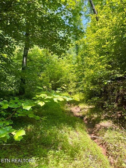 Tiny photo for 3646 Woodcove Circle, Maryville, TN 37801 (MLS # 1318955)