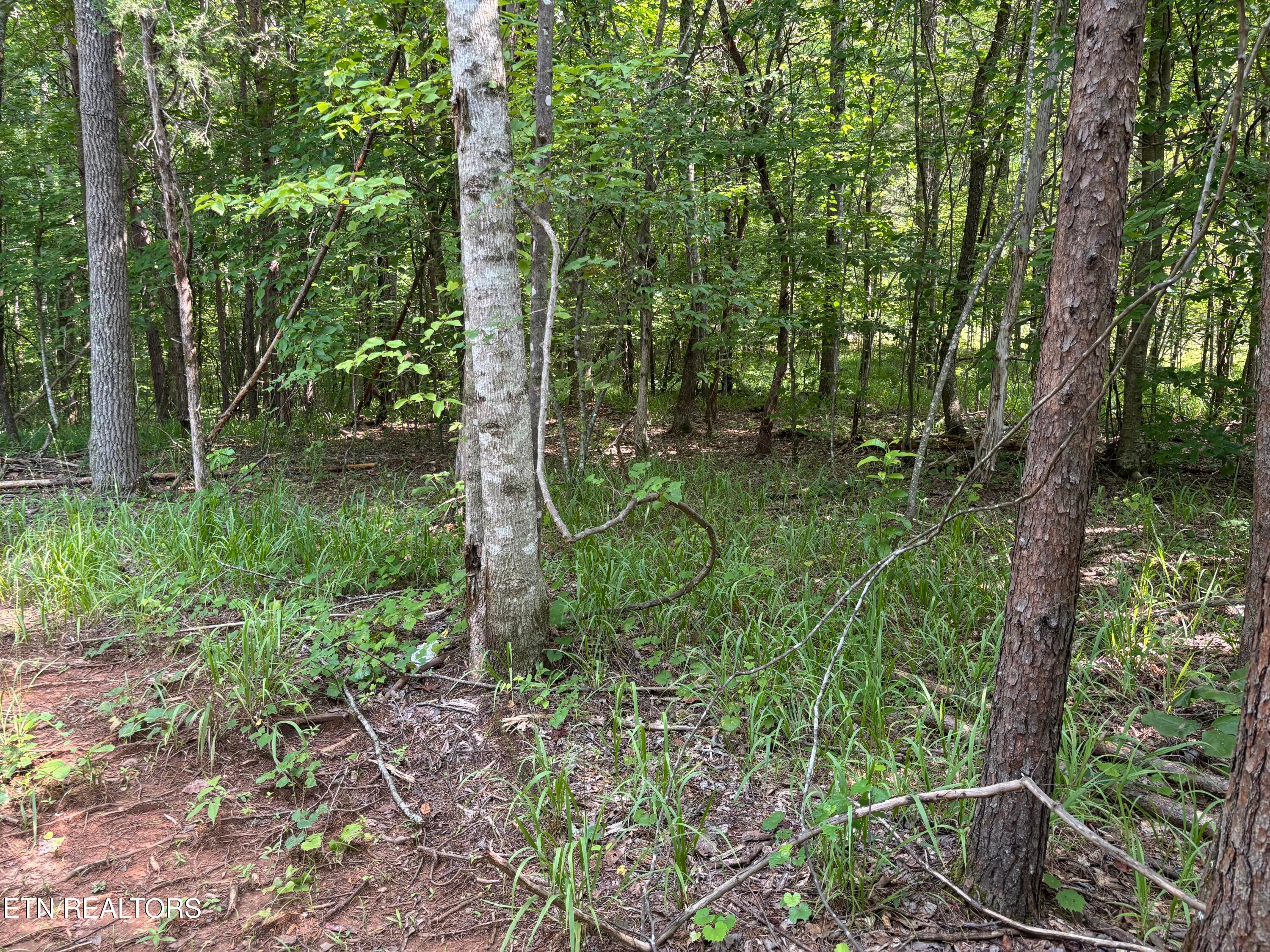 130 Tellico Camp Rd