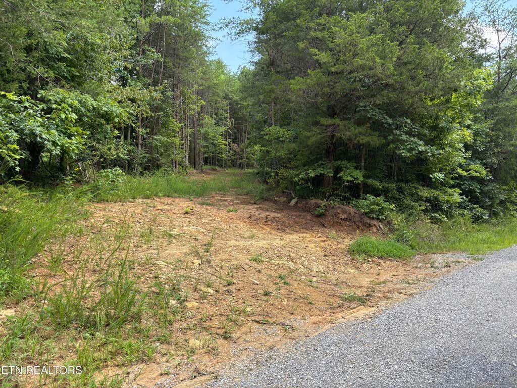 Photo of 130 Tellico Camp Rd, Madisonville, TN 37354 (MLS # 1351139)