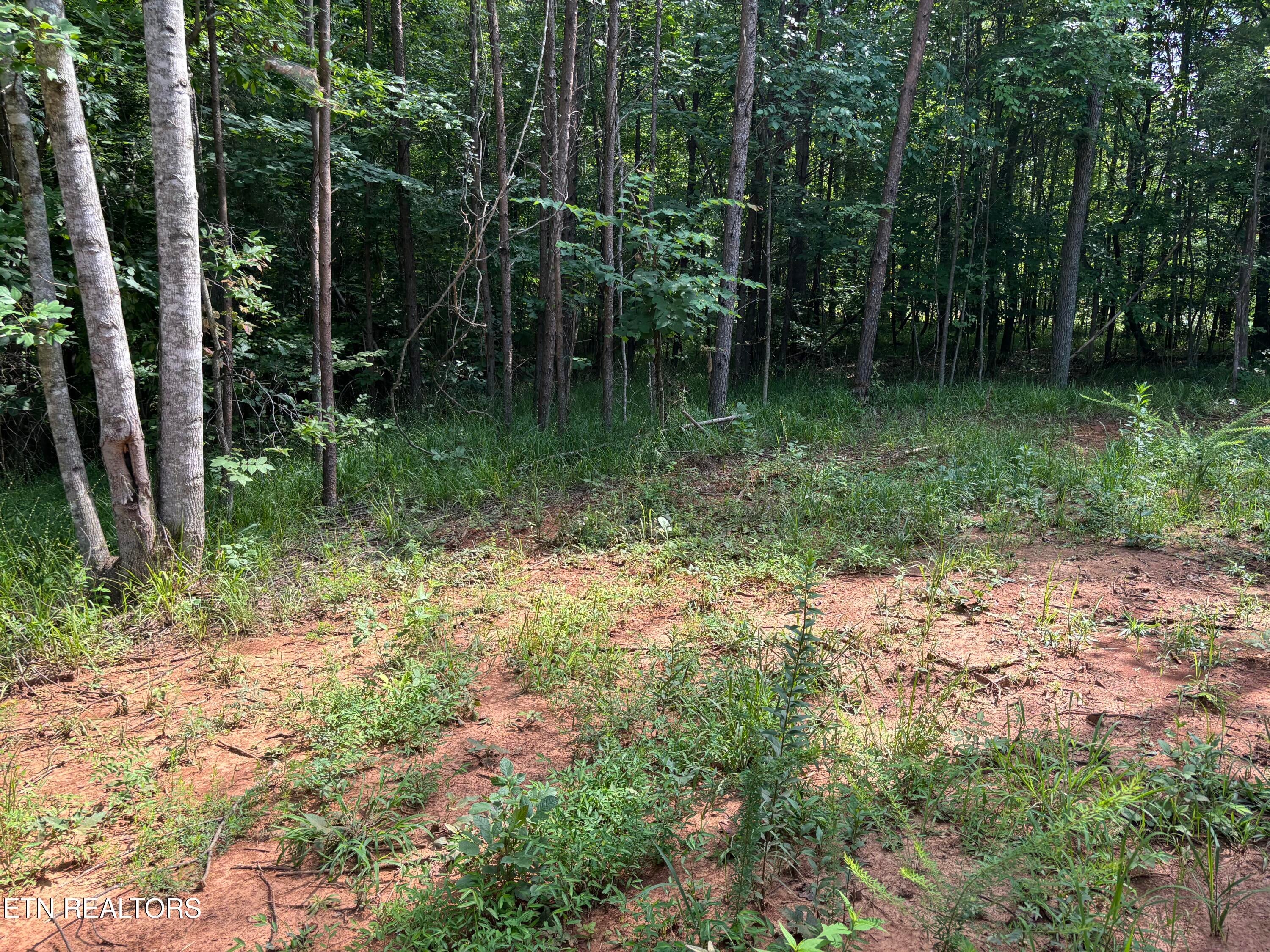 130 Tellico Camp Rd