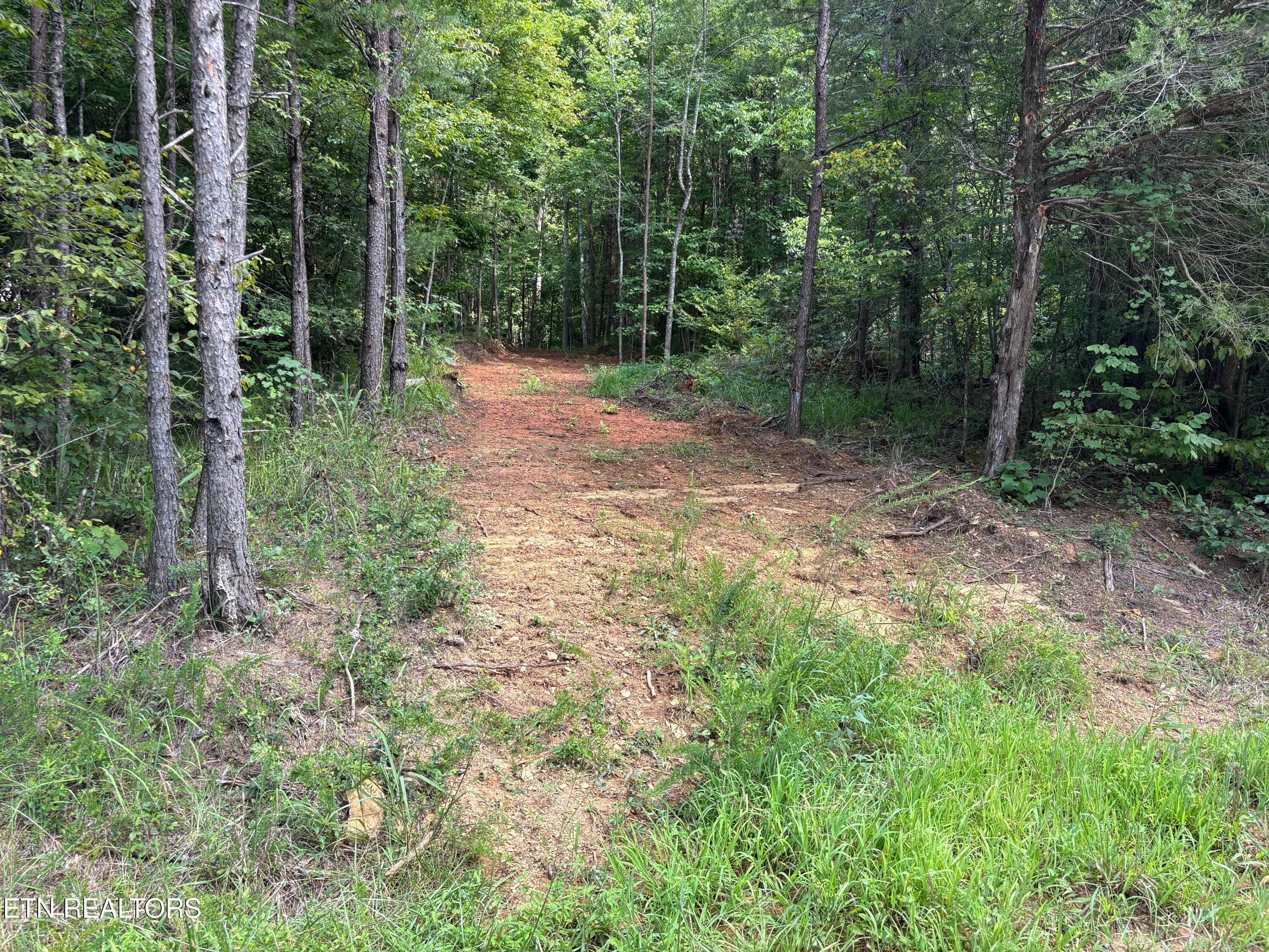 130 Tellico Camp Rd