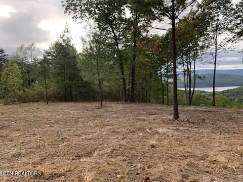 Lot 1070 Birds Eye Way
