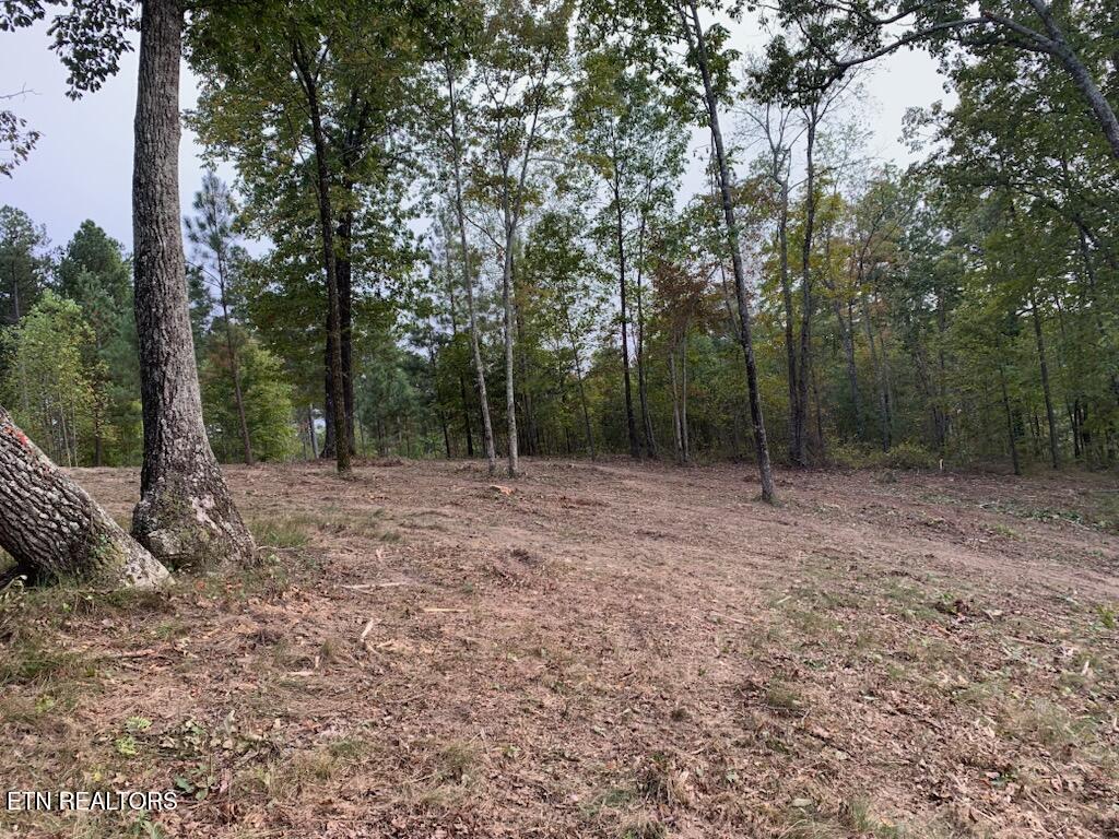 Lot 1070 Birds Eye Way