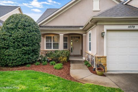 1079 Rarity Bay Pkwy Vonore TN 37885