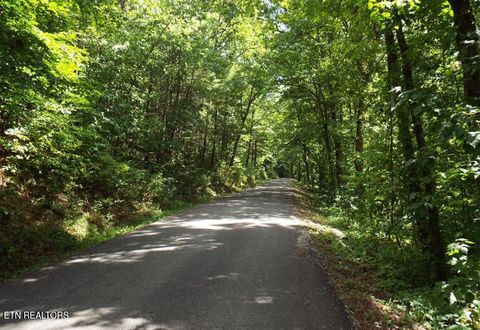 Old Gobey Rd Wartburg TN 37887