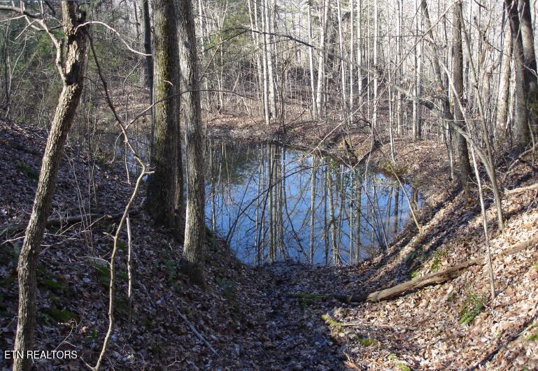 Old Gobey Rd