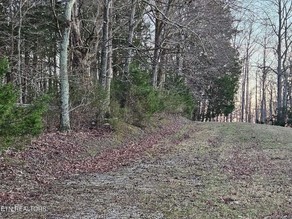 Photo of 00 Pates Ford Rd, Walling, TN 38587 (MLS # 1327768)