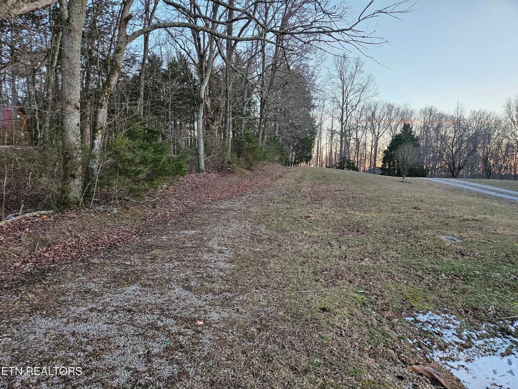 Photo of 00 Pates Ford Rd, Walling, TN 38587 (MLS # 1327768)