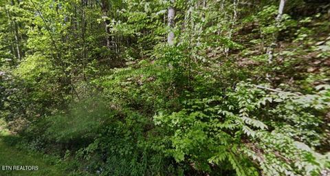 Tiny photo for Huskey Court, Gatlinburg, TN 37738 (MLS # 1330903)
