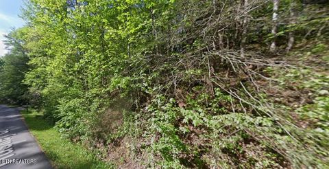 Tiny photo for Huskey Court, Gatlinburg, TN 37738 (MLS # 1330903)