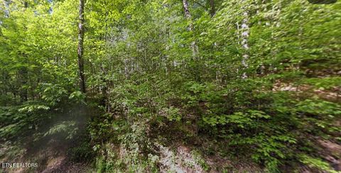 Tiny photo for Huskey Court, Gatlinburg, TN 37738 (MLS # 1330903)