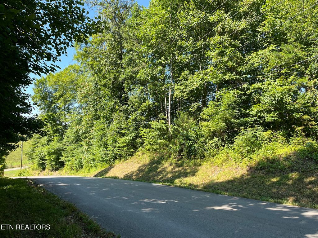 Photo of Hickory Pointe Lane, Maynardville, TN 37807 (MLS # 1269495)