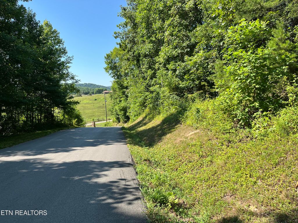 Photo of Hickory Pointe Lane, Maynardville, TN 37807 (MLS # 1269495)