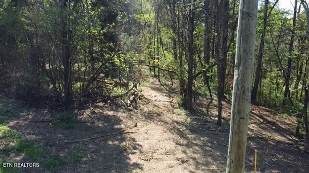 Photo of Short Bark Rd. (10 ac), Madisonville, TN 37354 (MLS # 1336821)