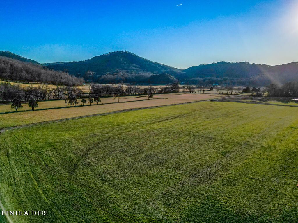 Photo of 00 Tree Top Lane, Tellico Plains, TN 37385 (MLS # 1253860)