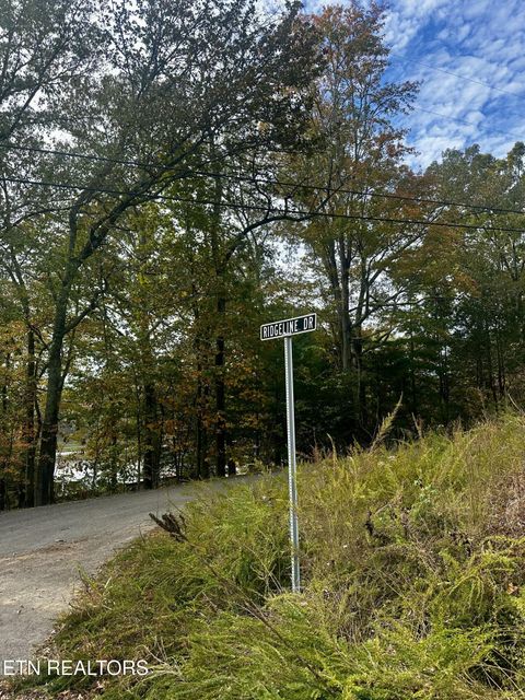 Eagle Point Drive Rockwood TN 37854