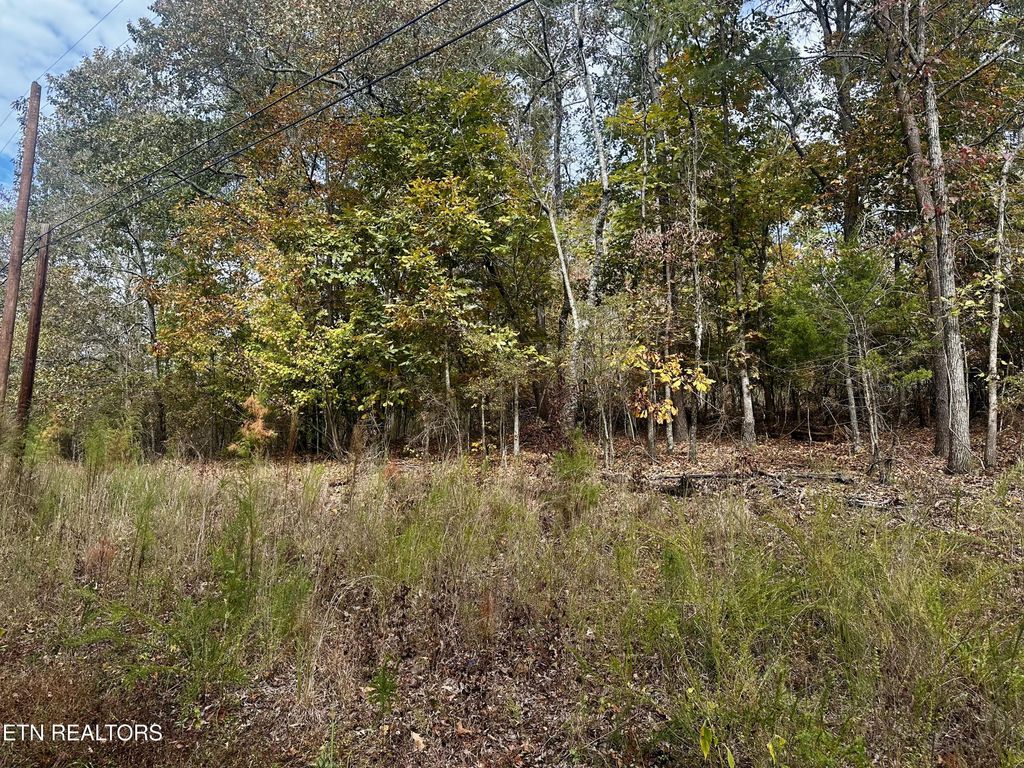 Photo of Eagle Point Drive, Rockwood, TN 37854 (MLS # 1320039)