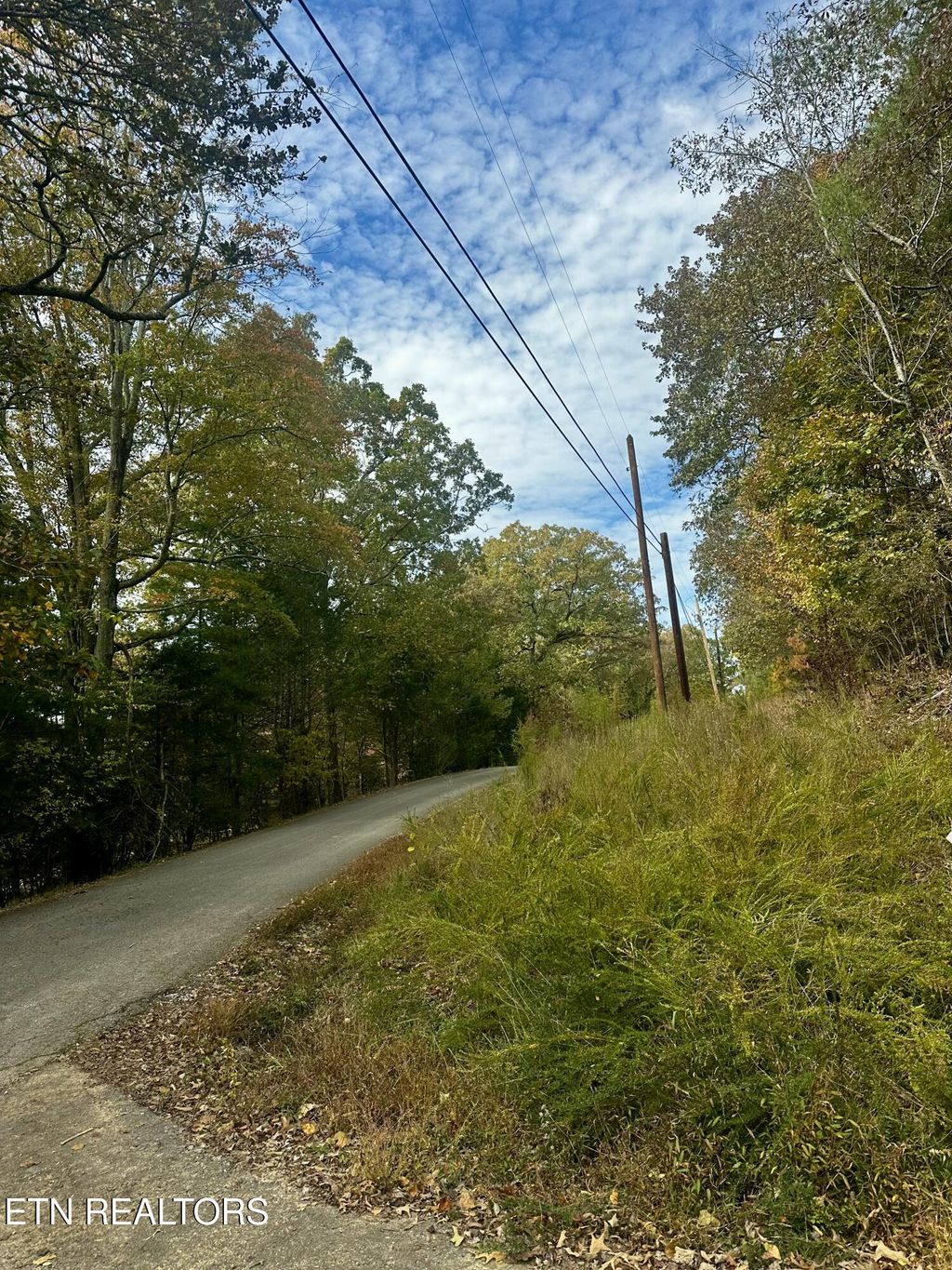 Photo of Eagle Point Drive, Rockwood, TN 37854 (MLS # 1320039)