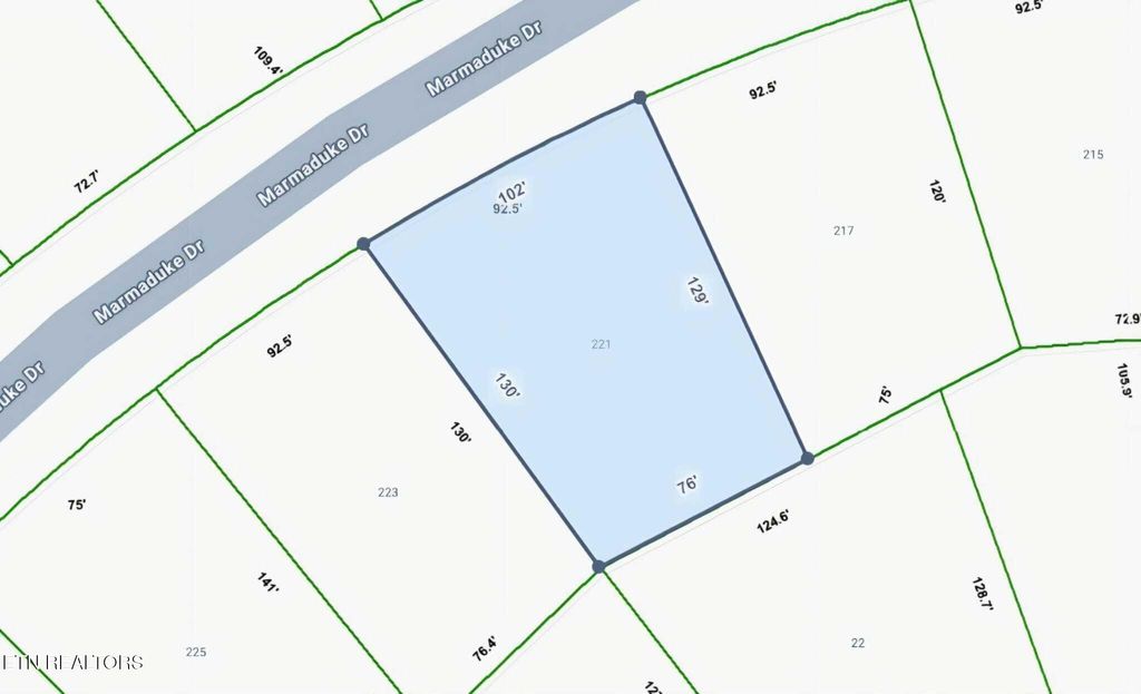 Photo of 221 Marmaduke Drive, Crossville, TN 38558 (MLS # 1323034)