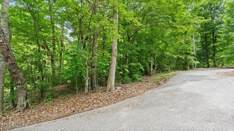 Tiny photo for 13136 George Lovelace Lane, Knoxville, TN 37932 (MLS # 1301804)