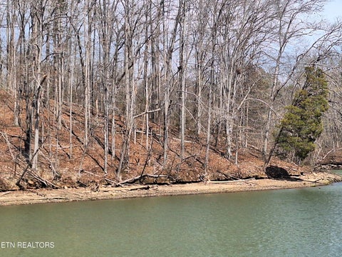 Tiny photo for 13136 George Lovelace Lane, Knoxville, TN 37932 (MLS # 1301804)